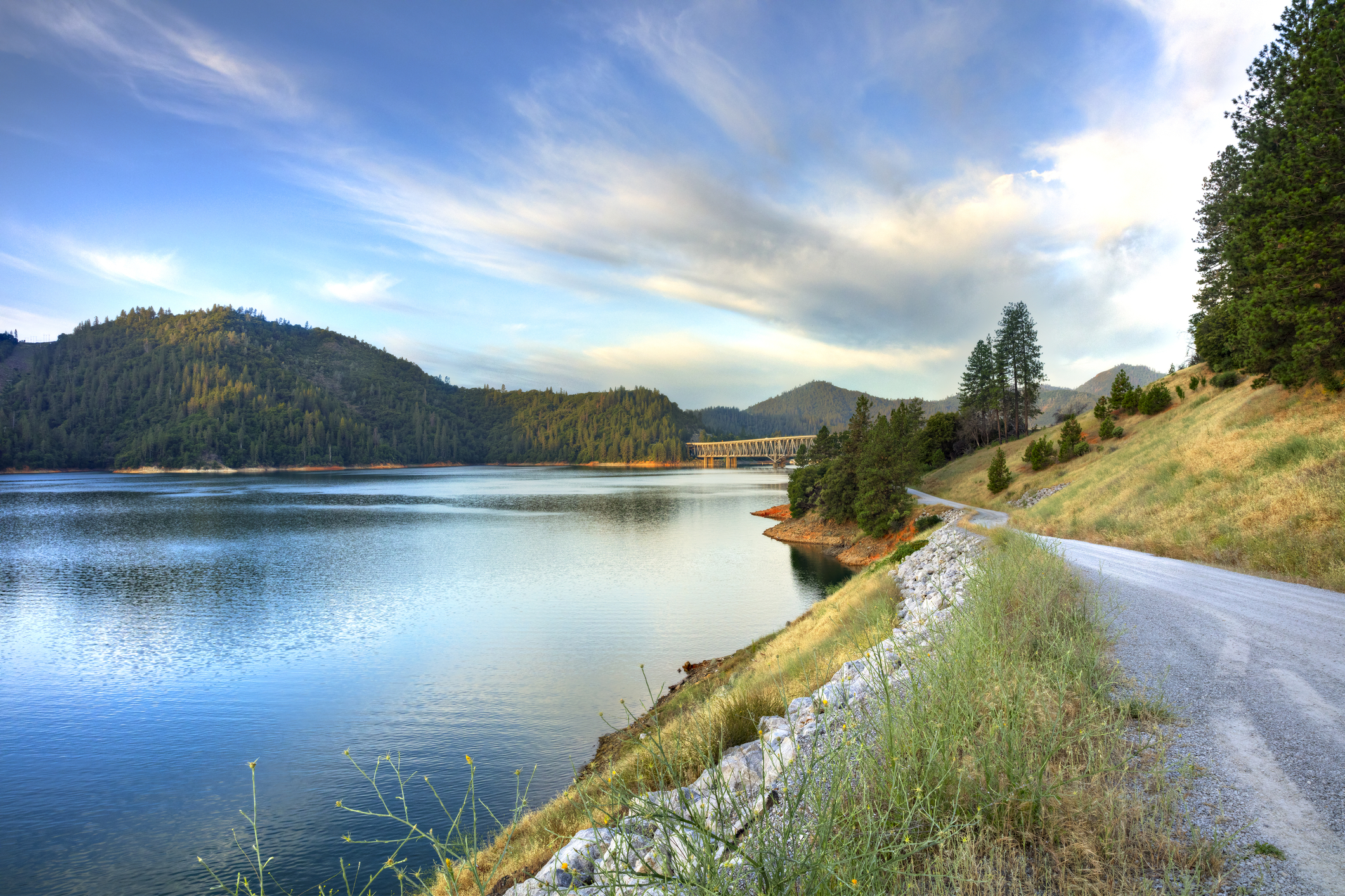 Scenic Tours