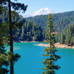 scenic tours McCloud Reservoir