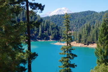 scenic tours McCloud Reservoir