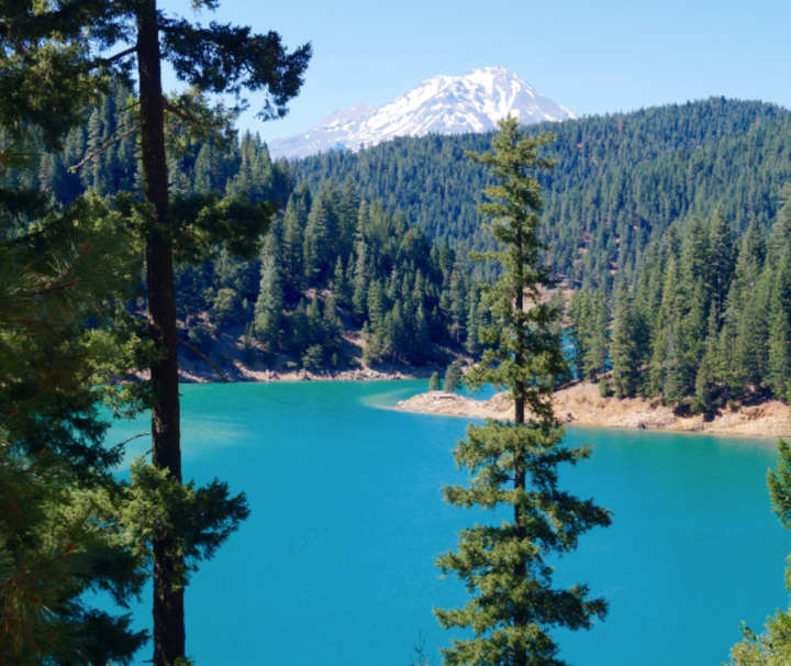 scenic tours McCloud Reservoir